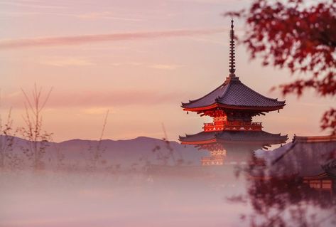 Kyoto Photography Locations - A Guide to Photogenic Wonders of Kyoto Kyoto Photography, Japan Hotel, Japan Landscape, Japan Photography, Landscape Photography Tips, Scenery Photography, Travel Photography Tips, Japanese Landscape, Photography Guide