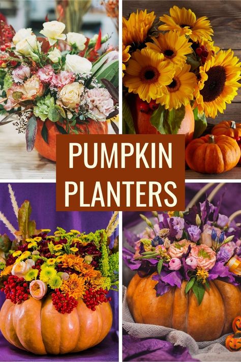 a collage of bouquets in pumpkin vases Pumpkin Flower Pot, Pumpkin Planters, Pumpkin Flower Pots, Unicorn Pumpkin, Pumpkin Planter, Pumpkin Garden, Thanksgiving Dinner Table, Pumpkin House, Planting Pot