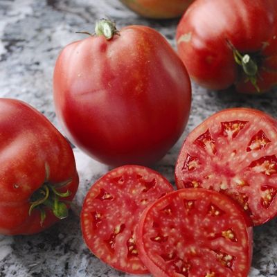 Hungarian Heart Tomato Tomato Growers, Heirloom Tomato Seeds, Tomato Nutrition, Roasted Tomato Sauce, Sun Loving Plants, Pink Fruit, Seed Starter, Heirloom Tomato, Heirloom Vegetables