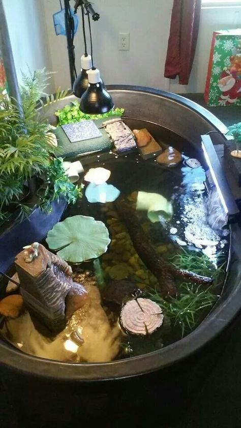 Turtle Setup, Turtle Tub, Tartaruga Habitat, Aquatic Turtle Habitat, Aquatic Turtle Tank, Turtle Tank Setup, Turtle Enclosure, Turtle Terrarium, Red Eared Slider Turtle