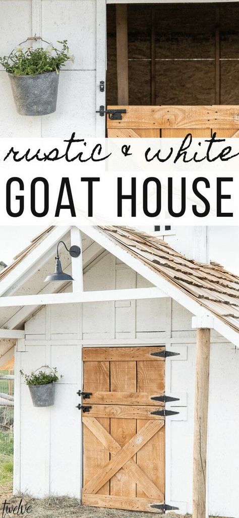 Simple and Stylish Goat House Design - Twelve On Main Coop Decor, Goat Shed, Livestock Barn, Goat Shelter, Goat Pen, Goat House, Goat Barn, Goat Care, Homestead Farm