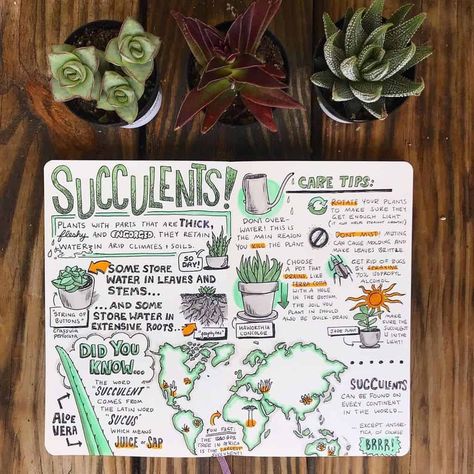 Sketch Notes Doodles, Visual Note Taking, Plant Notes, Bullet Journal Banner, Note Doodles, Business Notes, Doodle Notes, Pretty Notes, Sketch Notes