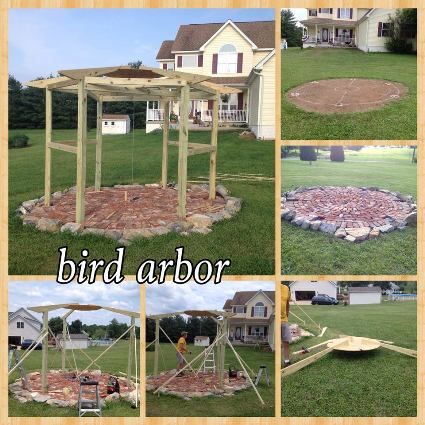 Diy Outdoor Bird Perch, Bird Sanctuary Ideas Backyards Diy, Covered Bird Feeding Station Ideas Diy, Covered Bird Feeder Station Ideas, Bird Feeding Station Ideas Gardens, Bird Feeding Station Ideas Diy, Bird Sanctuary Ideas Backyards, Bird Feeding Station Ideas, Bird Feeder Station Ideas