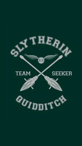 Quidditch Aesthetic, Imprimibles Harry Potter, Gryffindor Aesthetic, Harry Potter Quidditch, Harry Potter Tshirt, Anniversaire Harry Potter, Harry Potter Shirts, Images Harry Potter, Harry Potter Outfits