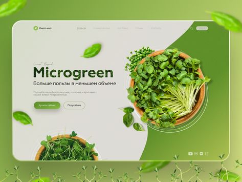 web-design ui/ux landing page concept green microgreen Microgreen Business, Ux Landing Page, Food Frame, Colorful Website Design, Graphic Designer Studio, Green Web, Social Media Advertising Design, Ui Design Website, Designer Studio