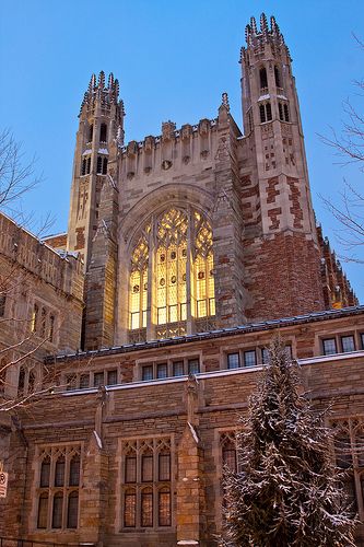 Yale Law School | Flickr - Photo Sharing! Yale University Law School, Yale Law Aesthetic, Yale Campus Aesthetic, Oxford Law School, Yale University Aesthetic Campus, Yale Law School Aesthetic, Harvard Law School Aesthetic, Yale University Aesthetic, Yale Aesthetic