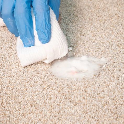 How to Get Blood Out of Carpet | Family Handyman Removing Blood From Carpet, Blood Out Of Carpet, Get Blood Stains Out, Clean Vinyl Records, Remove Deodorant Stains, Best Hand Tools, Mildew Remover, Blood Drop, Old Blood