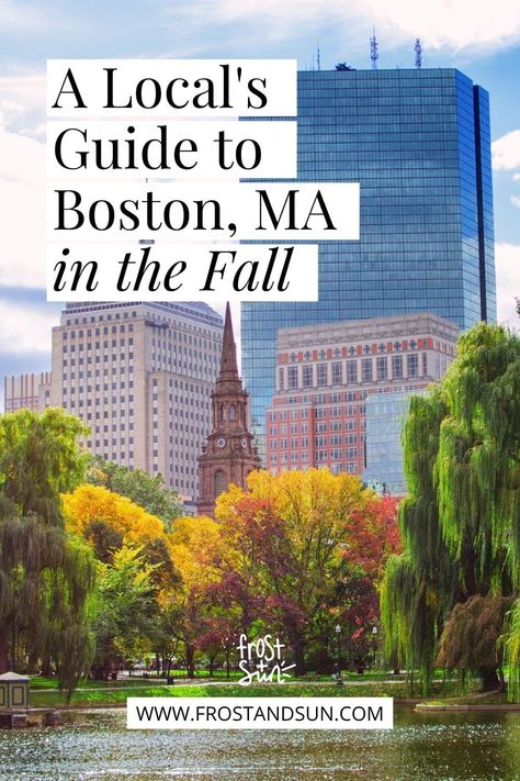 Photo of the Boston Common park in the Fall. Text at the top reads "A Local's Guide to Boston, MA in the Fall." Boston Fall Outfits October, Boston Fall Travel, Boston October Trip, Boston Fall Itinerary, Massachusetts In The Fall, Boston November, Boston Packing List Fall, Boston In October Outfits, Packing For Boston In Fall