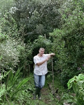 How to clear overgrown yard Clearing Woods Backyard, Overgrown Backyard, Clear Brush In Yard, Land Clearing Ideas, Yard Clean Up, How To Clear Land For Garden, Clearing Out Wooded Backyard, Clearing Land By Hand, Overgrown Front Yard Landscaping