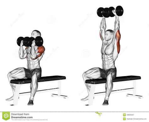 Exercising. Alternating Dumbbell Bench Press With - Download From Over 45 Million High Quality Stock Photos, Images, Vectors. Sign up for FREE today. Image: 43825937 Dumbbell Bench Press, Arnold Press, Latihan Dada, Shoulder Exercises, Dumbell Workout, Dumbbell Press, Trening Fitness, Weight Training Workouts, Chest Workouts