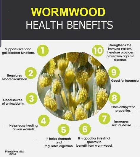 Benefits Of Wormwood, Wormwood Benefits, Wormwood Tea, Wormwood Plant, Medical Herbs, Benefits Of Gardening, Natural Healing Remedies, Herbs For Health, Tea Benefits