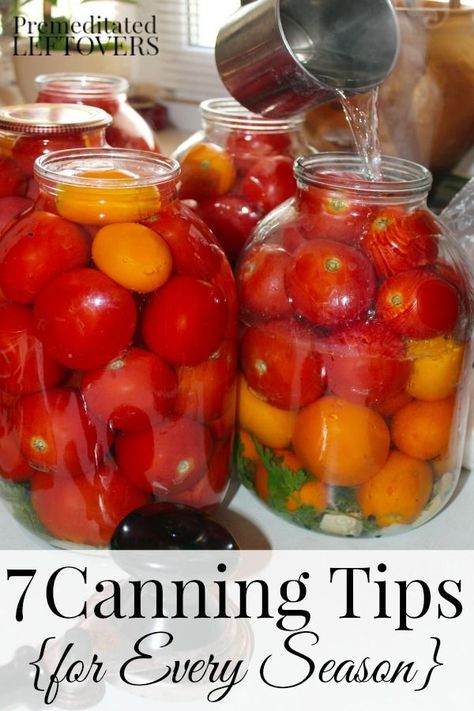 Canning can save you money and prepare your family for hard times or emergencies. Here are 7 Canning Tips for Every Season to help you get started. Canned Veggies, Food Canning, Preserving Foods, Home Canning Recipes, Canning Vegetables, Canning Food Preservation, Canned Food Storage, Canning Tips, Canned Tomatoes