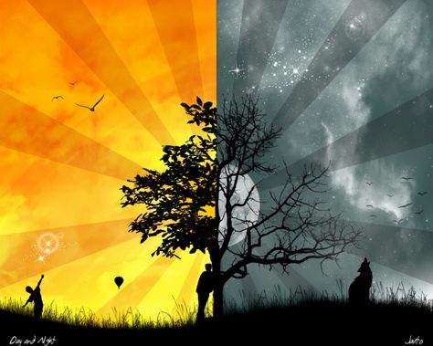 This image is a good example of juxtaposition , showing contrasting sides. At night its a lone wolf with a dead tree, opposed by the sunny day with a living tree and people being together.  #Contrast Cool Desktop Wallpapers, Full Hd Background, Light Vs Dark, Beyond Good And Evil, Good And Evil, Jolie Photo, Day For Night, Free Wallpaper, Mobile Wallpaper