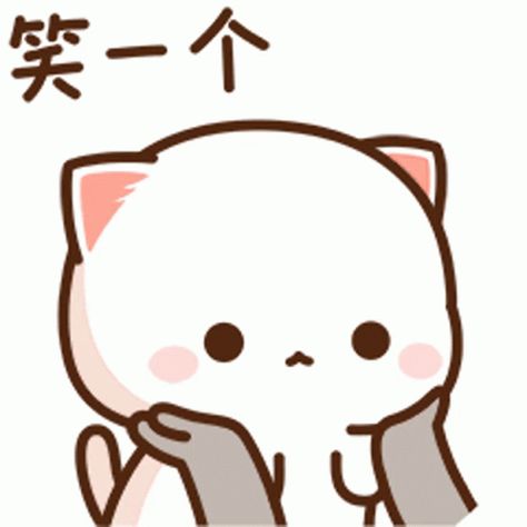 Peach Sticker, Peach Goma, Chibi Cat, Cute Bear Drawings, Cute Cartoon Images, Cute Love Cartoons, Cute Cat Gif, Anime Cat, Cute Memes