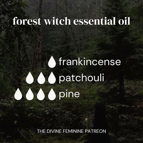 🌿🐈‍⬛✨🌙 Essential Oil Blends inspired by the witches Some blends l’ve created that you can use for aromatherapy! Some ways you can use essential oils are in… diffusers, for creating oils, adding in lotions or directly onto pulse points with caution, etc! I’ve posted lots of essential oils over on Patreon so definitely get check them out! ✨🌙 🍂🍁 Shop our metaphysical shop through the link in bio #aromatherapy #witch #witchy #essentialoils #witchtok #witchcraft #pagan #witchesoftiktok #greenwi... Raven Essential Oil Diffuser Blend, Witchy Essential Oils, Witchy Essential Oil Diffuser Blends, Witchy Diffuser Blends, Witchy Oil Blends, Essential Oils For Witchcraft, Witchy Essential Oil Blends, Dark Academia Essentials, Raven Essential Oil