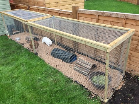 Homemade Rabbit Run                                                                                                                                                                                 More Rabbit Ideas Outdoor, Outside Cage For Rabbits, Diy Bunny Run Outdoor, Outside Guinea Pig Enclosure, Outdoor Rabbit Run Diy, Rabbit Outdoor Play Area, Rabbit Outdoor House Ideas, Outdoor Rabbit Cage Ideas, Homemade Chicken Run