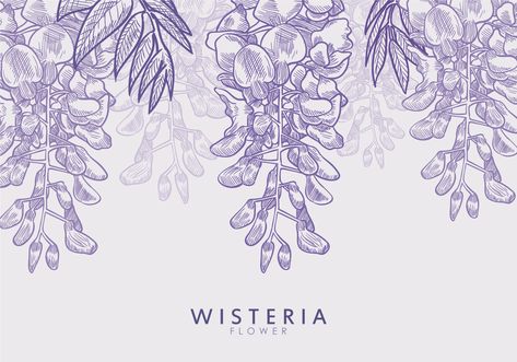 Free Hand Drawn Wisteria Flower Vectors Wisteria Logo Design, Wisteria Wedding Theme, Wisteria Art, Wisteria Flower, Japanese Art Styles, Bond Paper Design, Calligraphy Art Print, Free Hand Drawing, Simple Iphone Wallpaper