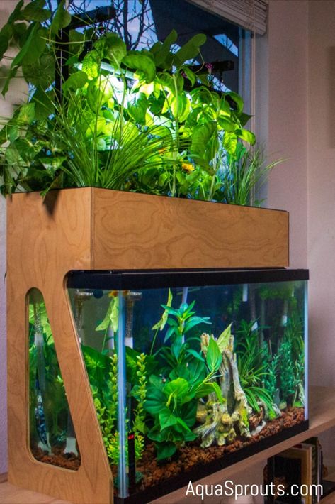 Aquarium Hydroponics, Fish Tank Aquaponics, Cool Fish Tank Decorations, Pet Enclosures, Aquaponics Aquarium, Indoor Aquaponics, Aquarium Garden, Fish Tank Stand, Fish Tank Terrarium