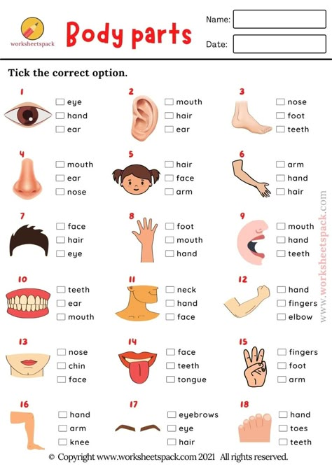 Parts Of The Body In English, Part Of The Body Activities, My Body Worksheets For Kids Preschool, Part Of The Body For Kids, Parts Of Body Activity, Parts Of The Body For Kids Worksheet, Body Parts Worksheet For Grade 1, Part Of Body For Kids, Parts Of The Body Worksheet Kindergarten