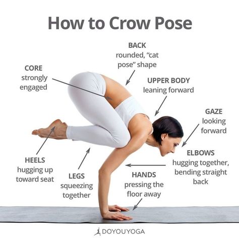 How To Crow Pose 🖤 One of my favs #yoga Ashtanga Vinyasa Yoga, Yoga Kundalini, Forward Bend, Crow Pose, Arm Balances, Yoga Beginners, Yoga Techniques, Sup Yoga, Yoga Posen