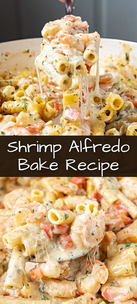 Shrimp Alfredo Shells, Shrimp Pasta Dishes Recipes, Old Bay Shrimp Alfredo, Easy Seafood Alfredo, Dump And Bake Shrimp Alfredo, Baked Shrimp Pasta Recipes Oven, Shrimp Baked Ziti, Chicken Shrimp Broccoli Alfredo, Shrimp Alfredo Baked Pasta