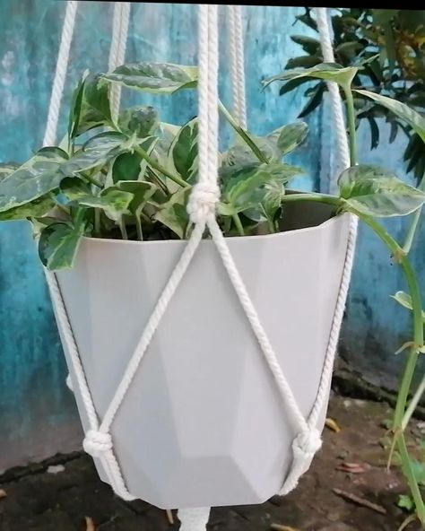 Diy Macrame Plant Hanger Easy, Diy Macrame Plant Hanger Tutorials, Simpul Makrame, Hanging Plants Diy, Pola Macrame, Macrame Plant Hanger Tutorial, Macrame Plant Hanger Patterns, نباتات منزلية, Macrame Knots Pattern