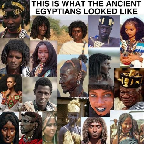 Ancient Egypt was a divergent of the vast Majority of phenotypes found all across the continent of Africa. It was also a mix of all the cultures found across the continent and the evidence is in these regions still living on today. Kemet is Africa and will forever be.🌍 The Eve Gene, African History Facts, African History Truths, Black Lifestyle, African American History Facts, Ancient Egypt History, Black Fact, Black Consciousness, Black Presidents