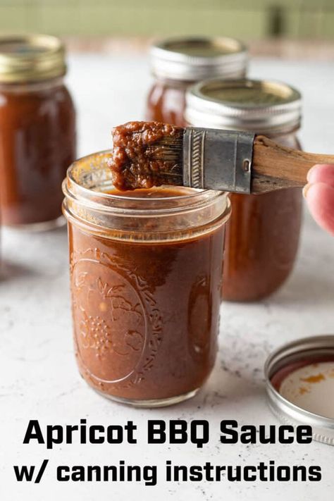 Apricot BBQ Sauce Apricot Bbq Sauce, Creamy Coleslaw Recipe, Creamy Coleslaw, Bbq Seasoning, Barbeque Sauce, Bbq Sauce Recipe, Tender Beef, Fool Proof Recipes, Homemade Sauce