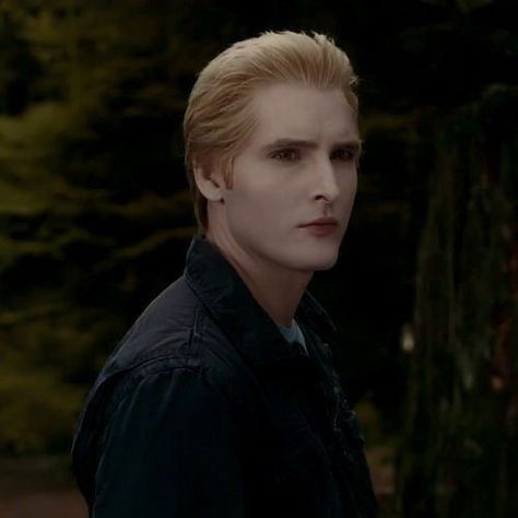 Forks Washington Twilight, Dr Cullen, Carlisle Cullen, Rosalie Hale, Peter Facinelli, The Cullen, Twilight Film, Twilight Pictures, Alice Cullen