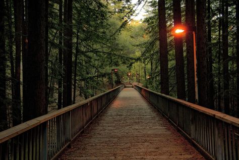 One of the many elevated walkways on the UC Santa Cruz campus, California ✯ ωнιмѕу ѕαη∂у University Of Santa Cruz, Ucsc Campus Aesthetic, Uc Santa Cruz Aesthetic, University Of California Santa Cruz, Uc Santa Cruz, Banana Slug, University Architecture, Dream College, Redwood Forest