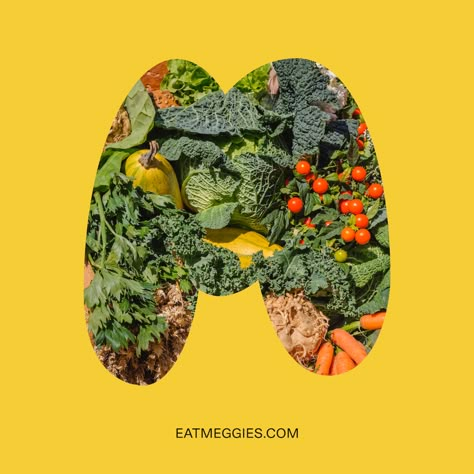 Meggies™ Brings Meat-Based Vegetables To The Produce Aisle | Dieline - Design, Branding & Packaging Inspiration Vegetables Graphic Design, Brand Food, Vegetable Design, Vegan Design, Organic Market, Fruit Packaging, Los Angeles Design, Packaging Label Design, Food Branding