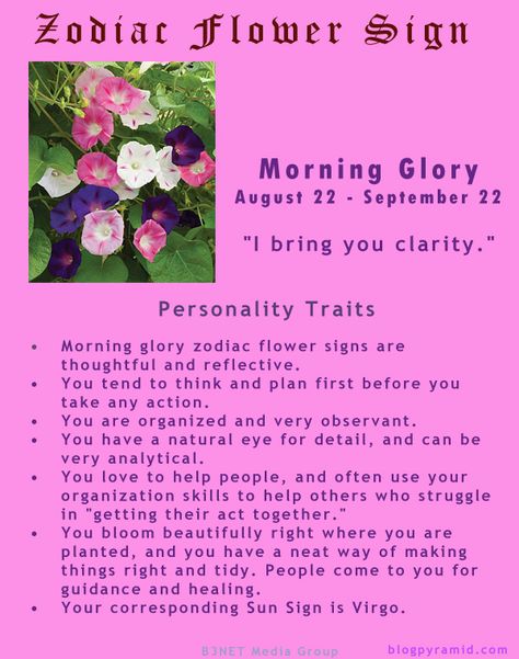 Morning Glory August 22 - September 22 Closeted Witch, Virgo Earth Sign, Zodiac Flowers, Virgo Flower, Morning Glory Tattoo, Birth Symbols, Aquarius Constellation Tattoo, Leo Constellation Tattoo, Virgo Constellation Tattoo