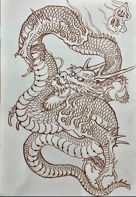 Japanese Dragon Reference, Dragon Irezumi Tattoo, Filip Leu Dragons, Front Facing Dragon, Dragon And Snake Tattoo, Dragon Tattoo Full Back, Dragons Reference, Ryu Dragon, Tattoo Designs Traditional