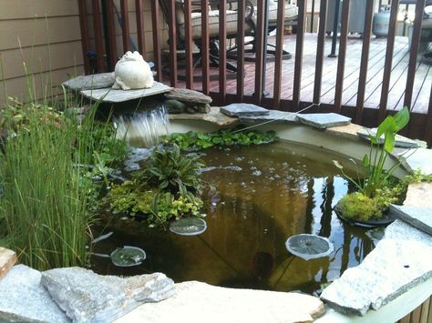 We have a hot tub turned into a pond.  Great addition to my backyard paradise. Backyard Hot Tub Ideas, Tub Pond, Small Bookstore, Backyard Hot Tub, Hot Tub Ideas, Landscaping Water Feature, Diy Water Feature, Hot Tub Gazebo, Building A Pond