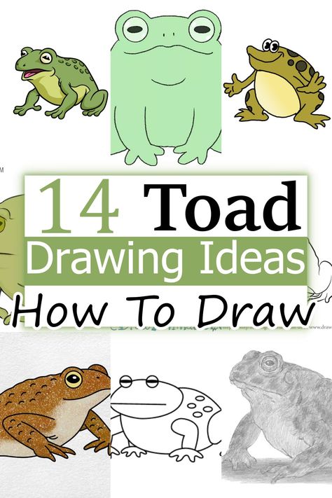 14 Easy Toad Drawing Ideas - How To Draw Toad Frogs And Toads, Cute Toad Drawing, Toad Sketch, Toad Cartoon, Toad Drawing, Toad Animal, Drawing Collection, Art Skills, Family Drawing