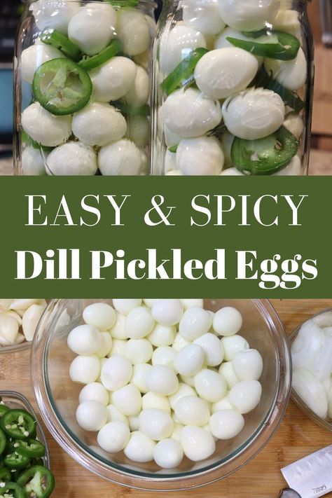 This recipe is quick and easy. You'll use a pre-packaged dill pickle seasoning blend, jalapenos, onions, and garlic to make a delicious jar of pickled eggs. Pickled eggs are a great way to use up your eggs. Use your quail eggs or small chicken eggs to create a delicious, low carb snack. #pickledegg #quaileggs #chickeneggs #eggrecipes #howtouseeggs #spicyeggs #homesteading #foodpreservation Pickled Quail Eggs Canning Recipe, Dill Pickle Eggs, Jalapeno Pickled Eggs, Pickled Quail Eggs Recipe Easy, Jalapeño Pickled Eggs, Buffalo Pickled Eggs Recipe, Dill Pickled Eggs, Recipe For Pickled Eggs, Pickled Quail Eggs Recipe