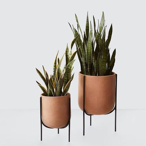 Are you following @designmilkeveryday yet? Over on this sister IG, we’re out to find awesome, affordable #moderndesign, like these new… Casa Cook, نباتات منزلية, The Citizenry, Clay Planters, Home Decor Brands, Modern Planters, Bedroom Boho, Decor Guide, Clay Pots