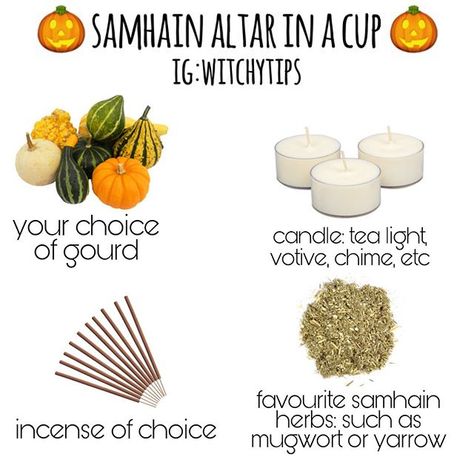 Tips for Witches Everywhere! ✨ on Instagram: “A very simple altar in a cup (gourd) for Samhain! By carving the gourd you are incorporating ancient Samhain traditions as well as using…” Witchytips Instagram, Simple Altar, Create An Altar, Celebrate Samhain, Samhain Traditions, Samhain Altar, Samhain Ritual, Wiccan Sabbats, Mini Altar