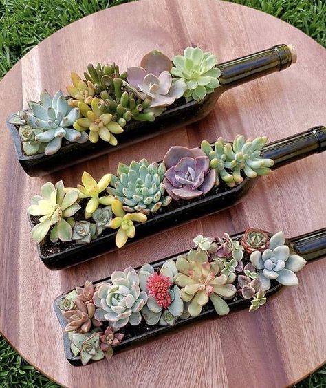 Decoracion Suculentas Ideas, Suculentas Ideas, Mini Cactus Garden, Mini Succulent Garden, Succulent Planter Diy, نباتات منزلية, Succulent Garden Design, Succulent Garden Diy, Garden Decor Projects