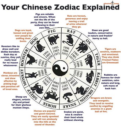 Google Images for Reuse Chinese Zodiac Compatibility, 12 Chinese Zodiac Signs, Chinese Numerology, Birthday Horoscope, Zodiac Signs Meaning, Zodiac Years, Chinese Calendar, Numerology Chart, Chinese Astrology