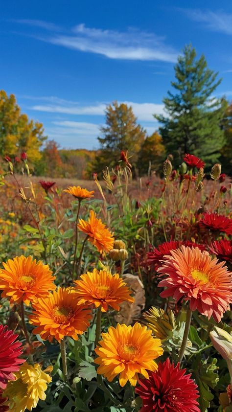 Discover stunning autumn floral arrangements in this blog post Explore compositions soft touches matte or glossy finishes wedding inspirations designs bouquets garden ideas images and backgrounds Ideal for autumn wedding decor and inspiration Autumn Floral Arrangements, Autumn Wedding Decor, Wedding Moodboard, Fall Garden, Fall Plants, Wedding Inspirations, Floral Ideas, Autumn Garden, Wedding Mood Board