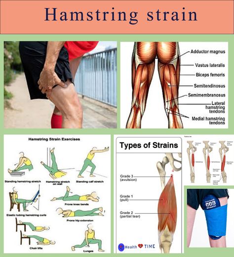 Hamstring Strain Recovery, Hamstring Rehab, Torn Calf Muscle, Wall Workouts, Hamstring Strengthening, Recovery Exercises, Low Back Exercises, Torn Hamstring, Hamstring Stretches