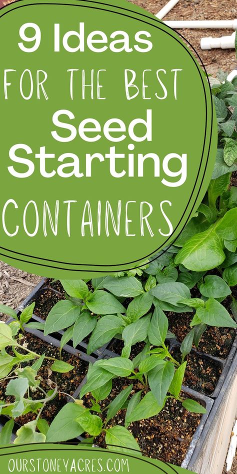 Seed starting begins with the containers that you grow your seedlings in. You will find 9 ideas for the best seed starting containers. There are also some seedling pot diy ideas too. Learn more about seed starting and vegetable gardening and get more gardening ideas. Seedling Pots Diy, Pot Diy Ideas, Seed Starting Containers, Seed Starters, Vegetable Gardening Ideas, Pot Diy, Seedling Pots, Beginners Gardening, Organic Vegetable Garden