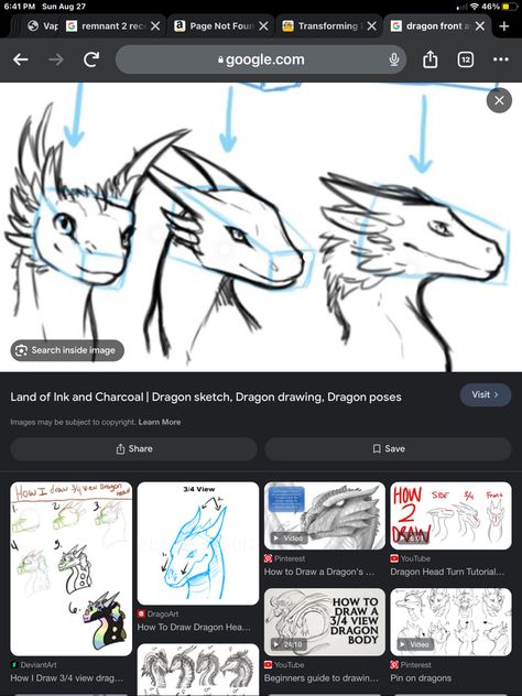 Dragon Side View, Dragon Front View, Dragon Drawing, Art References, Front View, Side View, Face Drawing, Art Reference, Sketch