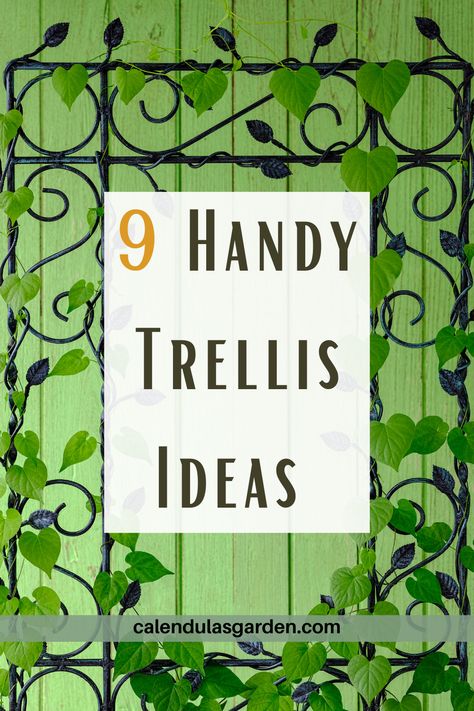 One way to enhance the look of your garden is by installing trellises for your plants. Trellises are not only functional, but they can also add some visual interest to your outdoor space. If you’re looking for a few creative trellis ideas for your garden, you’re in the right place. We’ve rounded up some of the best trellis ideas that will level up the look of your garden. Using Trellises In The Garden, Trellis Ideas Front Of House, Diy Clematis Trellis Ideas, Honeysuckle Trellis Ideas, Unique Trellis Ideas, Diy Garden Arch Trellis, Wall Trellis Ideas, Clematis Trellis Ideas, Trellis Ideas Diy Climbing Vines