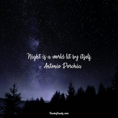 Summer Nights Quotes, Gud Night Quotes, Moon Lovers Quotes, Good Night Quotes For Him, Good Night Motivational Quotes, Night Sky Quotes, One Sentence Quotes, Midnight Quotes, Night Quotes Thoughts