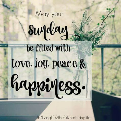 May your Sunday be filled with love, joy, peace & happiness :) Sunday Posts, Peaceful Sunday, Sunday Humor, Happy Sunday Morning, Sunday Morning Quotes, Sunday Quotes Funny, Sunday Greetings, Sunday Blessings, Afternoon Quotes