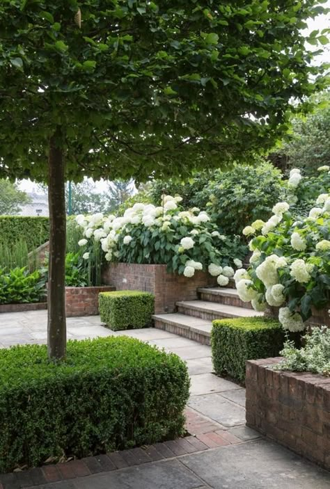 Garden Design London, Stone Steps, Back Garden Design, Sunken Garden, The Secret Garden, Mediterranean Garden, Garden Landscape Design, White Gardens, Courtyard Garden