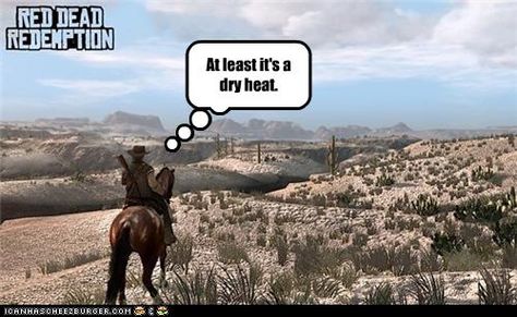 When people tell me, "at least it's a dry heat." Dry Heat, Red Dead Redemption, I Can Relate, Funny Things, Tell Me, Heat, Funny, Animals