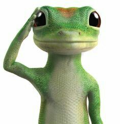 Geico gecko Auto Insurance, Gecko, Insurance